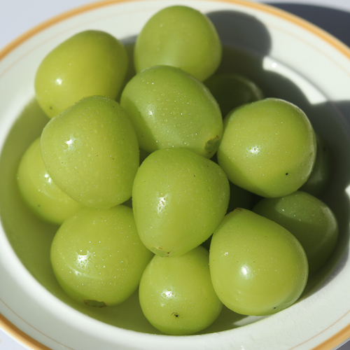 당도선별 고당도 정품 샤인머스켓 2kg 4kg